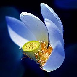 《刺客信条：RED》新情报泄露 跑酷将更加出色